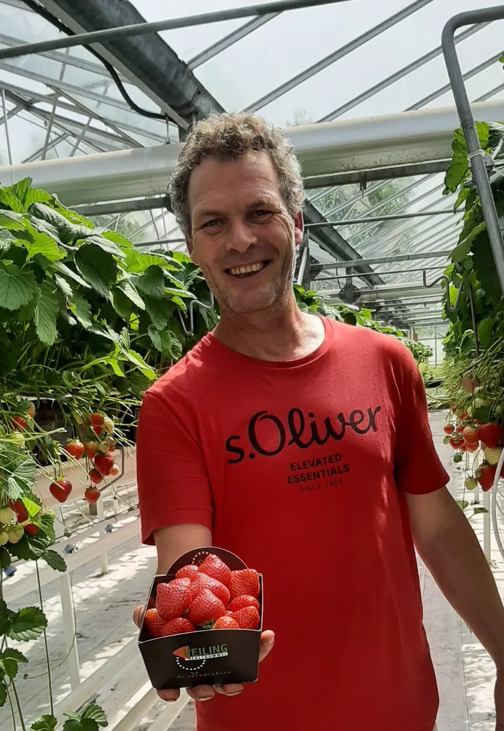 aardbeienteler De Rijk